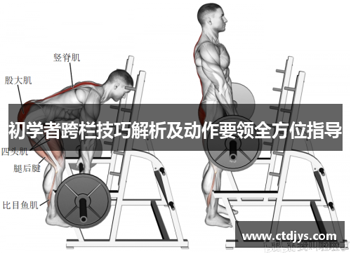 初学者跨栏技巧解析及动作要领全方位指导