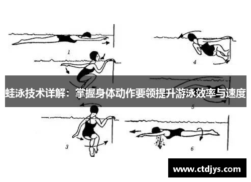 蛙泳技术详解：掌握身体动作要领提升游泳效率与速度