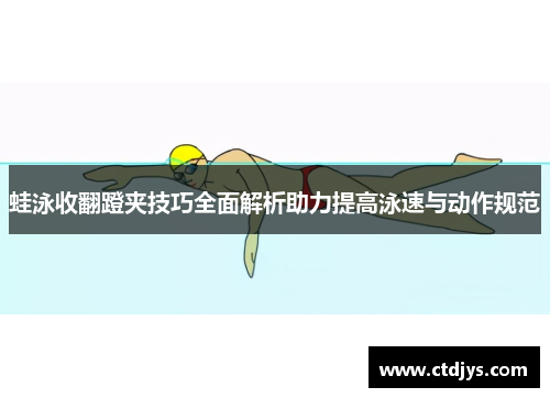 蛙泳收翻蹬夹技巧全面解析助力提高泳速与动作规范