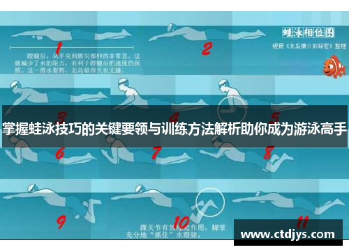 掌握蛙泳技巧的关键要领与训练方法解析助你成为游泳高手